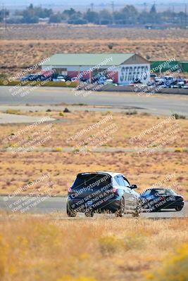 media/Nov-16-2024-Extreme Speed (Sat) [[6587d07cc4]]/Gold Group/Session 1 (Turn 2)/